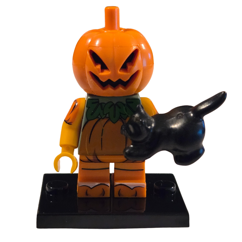 Custom Lego Compatible Pumpkin head with cat Minifig