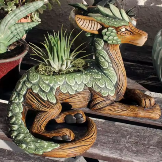 Dragon Succulent Planter