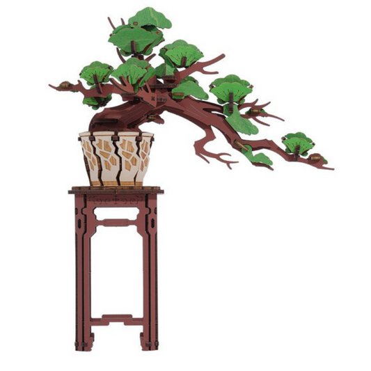 Evergreen Pine Bonsai - Rolife DIY Miniature