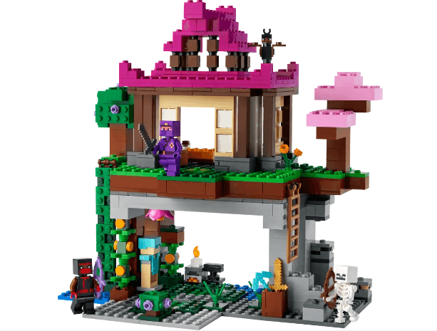 Lego Minecraft The Training Grounds 21183