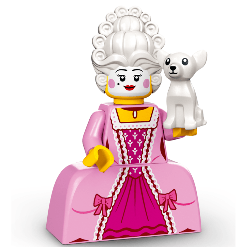 LEGO Series 24 Random Bag Set 71037-0
