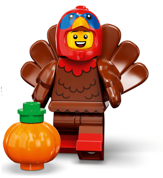 LEGO Series 23 Random Bag Set 71034-0