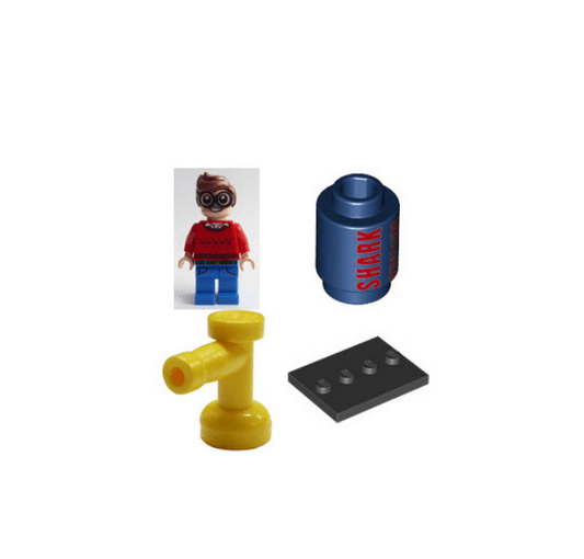 LEGO Dick Grayson Set 71017-9