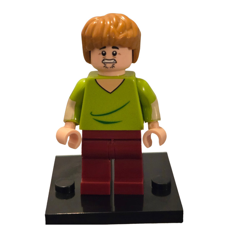Custom Lego Compatible Scooby Doo- Shaggy Minifig 