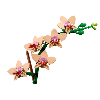 LEGO Botanical Collection Mini Orchid 10343