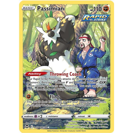 Passimian - Silver Tempest Trainer Gallery #TG08/TG30