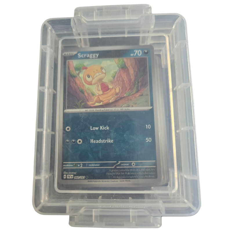 Pokémon Cards and Carry case