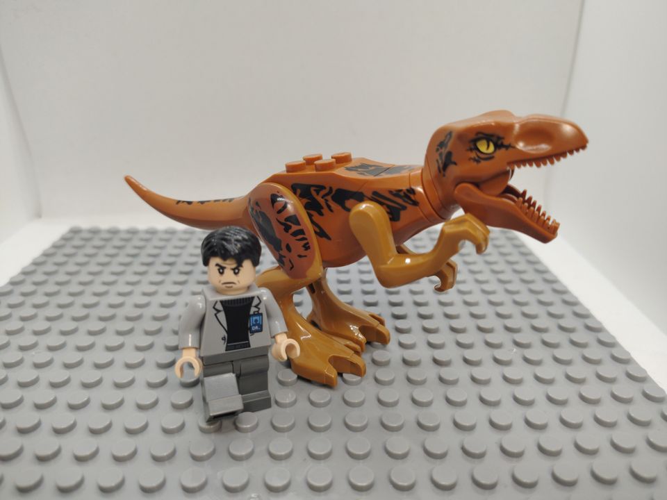 Custom Lego Compatible Jurassic World Dr. Henry Wu W/ T-Rex Minifig